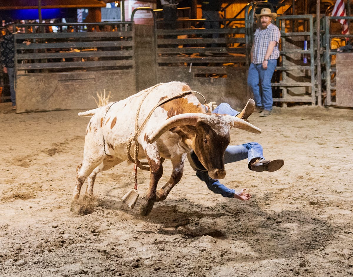 The Night Chandler Rode a Bull