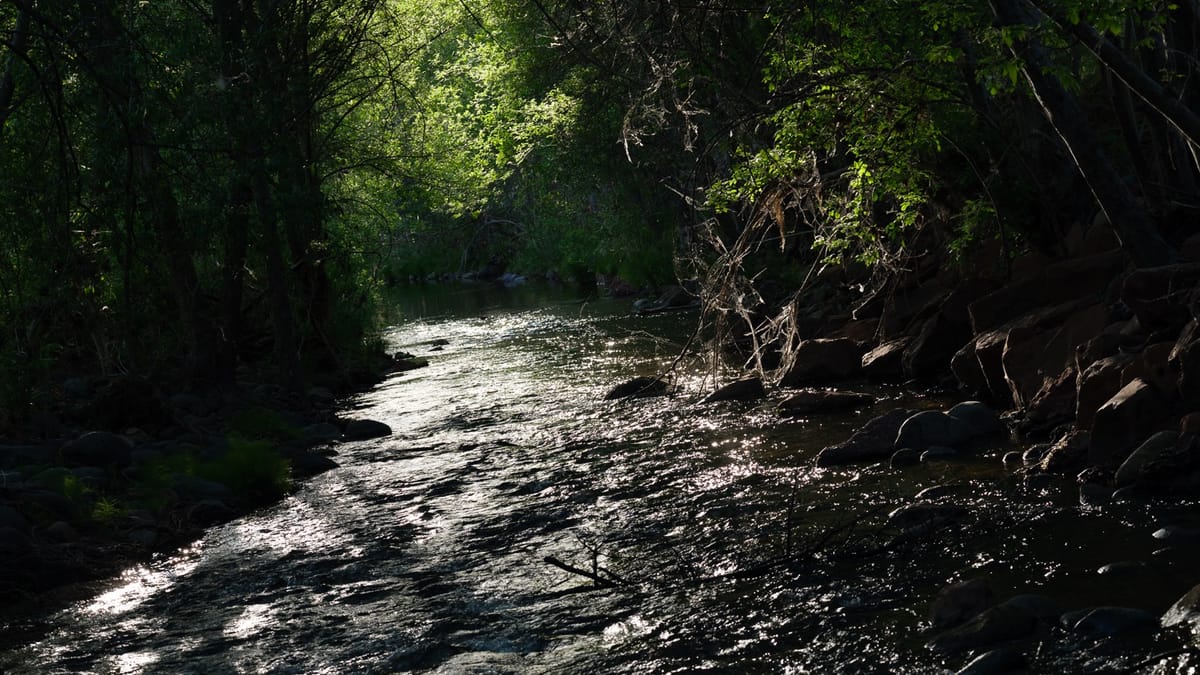 Spring Shadows on Oak Creek