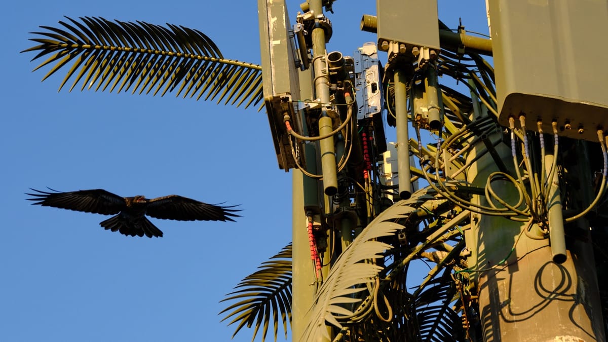 In The Middle of the Heat