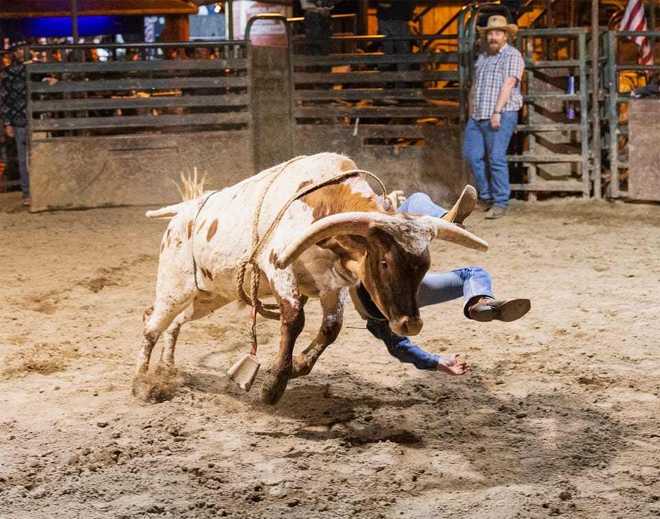 The Night Chandler Rode a Bull